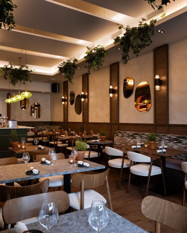 Verlichting Die Verhalen Vertelt 💡

Het Geheime Wapen van Elk Restaurant-interieur: 
De Perfecte Lichtsfeer!

Bij @olistarestobar draait alles om sfeer en licht maakt 70% van die sfeer uit!

•Warm accent licht: achter de bar creëert die golden hour vibe
•Gedimde tafellicht: voor intieme gesprekken 
•Spotlights: die de Mediterraanse texturen laten leven •Dramatische schaduwen: die diepte en mysterie toevoegen

Ons lichtplan werkt op drie niveaus:

1. Functioneel: Je moet je eten kunnen zien!
2. Emotioneel: Elke hoek heeft zijn eigen mood
3. Instagram-proof: Want laten we eerlijk zijn... 📸

Het resultaat? Een restaurant dat van ‘s ochtends vroeg tot ‘s avonds laat perfect aanvoelt. Of je nu komt voor lunch, borrel of diner – het licht past zich aan jouw moment aan.

Goed licht voelt natuurlijk. Slecht licht... dat voel je meteen verkeerd.

#RestaurantVerlichting #LightDesign #SfeerVerlichting #HorecaLicht #BOLDillumination #AmbianceDesign #Horeca #Restaurants #Oisterwijk #Horecainterieur
